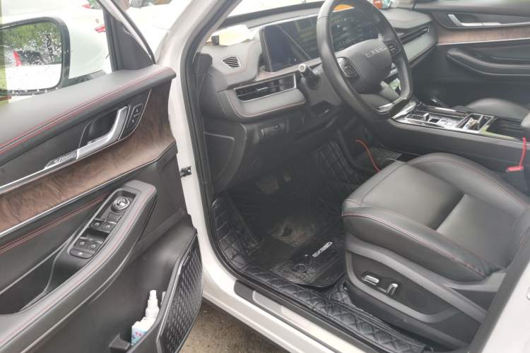 Used EXEED Zhuifeng 2020 Chasing the Waves Edition 1.5T CVT Xingrui Version Driver Seat