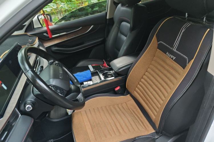 Used EXEED Zhuifeng 2020 Chasing the Waves Edition 1.5T CVT Starry Edition Left Front Seat