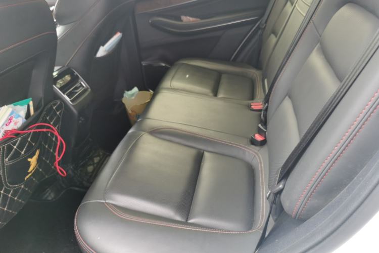 Used EXEED Zhuifeng 2020 Chasing the Waves Edition 1.5T CVT Xingrui Version Left Rear Seat