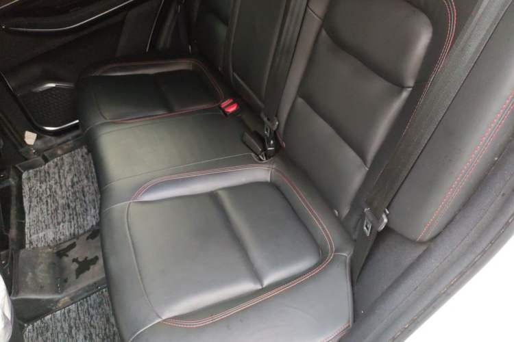 Used EXEED Zhuifeng 2020 Chasing the Waves Edition 1.5T CVT Starry Edition Left Rear Seat