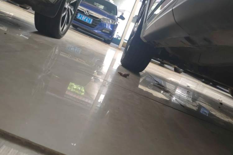 Used EXEED Zhuifeng 2020 1.6T DCT StarRui Edition Left Side Sill