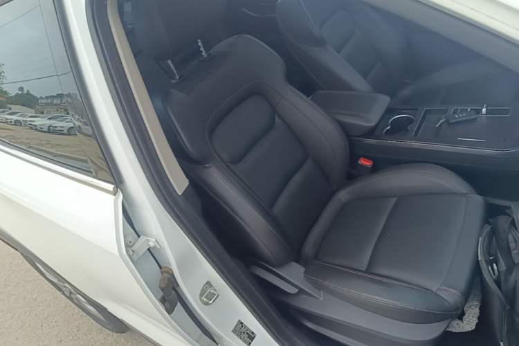 Used EXEED Zhuifeng 2020 Chasing the Waves Edition 1.5T CVT Starry Edition Right Front Seat