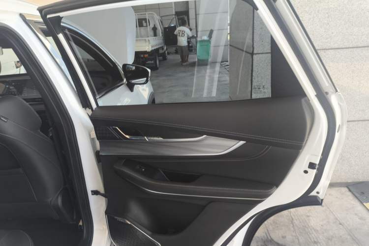 Used EXEED Zhuifeng 2020 1.6T DCT StarRui Edition Right Rear Door Interior