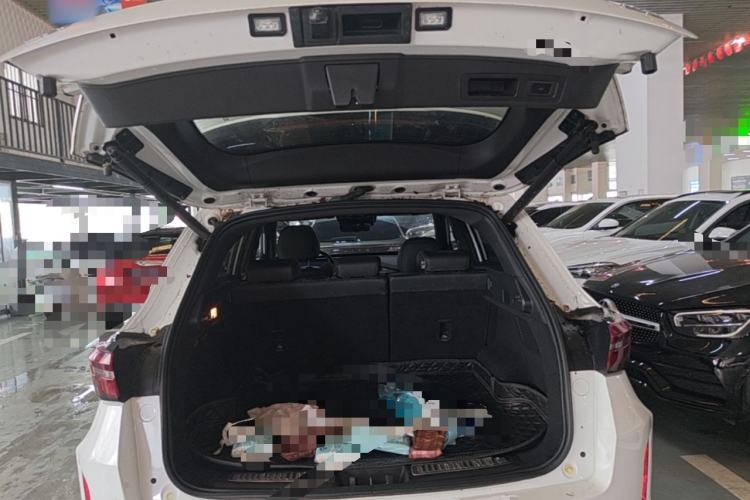 Used EXEED Zhuifeng 2020 1.6T DCT StarRui Edition Trunk