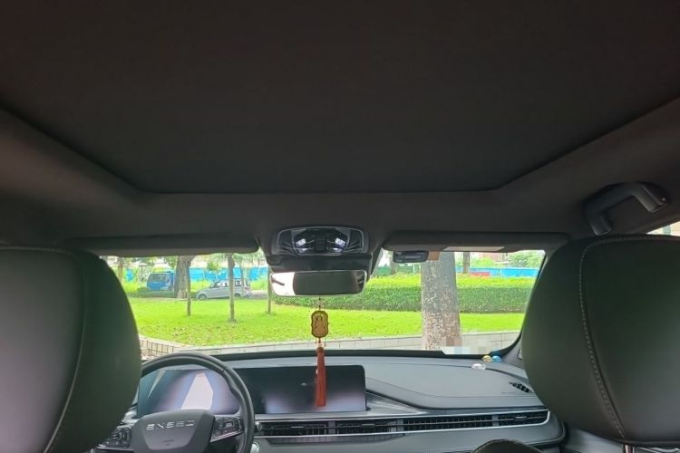 Used EXEED Zhuifeng 2021 Versailles 1.6T DCT Star Prestige Edition Headliner