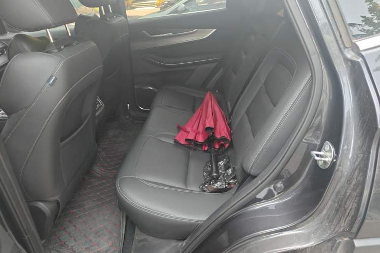 Used EXEED Zhuifeng 2021 Versailles Edition 1.6T DCT StarRui Version Left Rear Seat