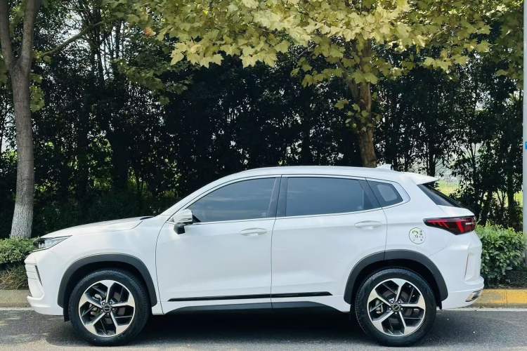 Used EXEED Zhuifeng 2021 Versailles Edition 1.6T DCT Starry Edition Left Side