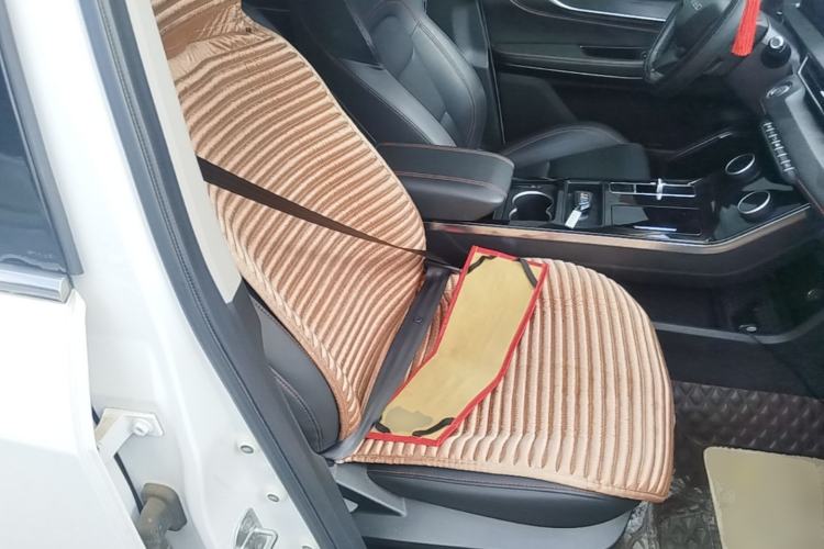 Used EXEED Zhuifeng 2021 1.6T DCT Verso Edition Right Front Seat