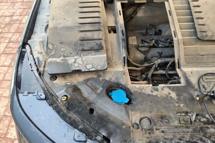 Used EXEED Zhuifeng 2022 Chasing the Waves Edition 1.5T CVT Wind-Chasing Edition Engine Bay Right