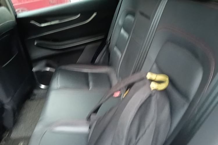 Used EXEED Zhuifeng 2022 Chasing the Waves Edition 1.5T CVT Wind-Chasing Edition Left Rear Seat