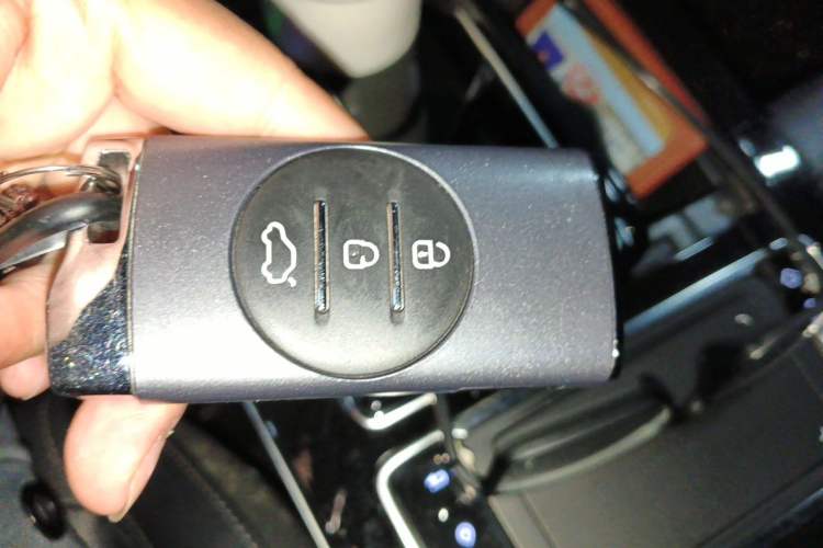 Used EXEED Zhuifeng 2022 Versailles 1.6T DCT "Chasing the Wind" Edition Vehicle Key
