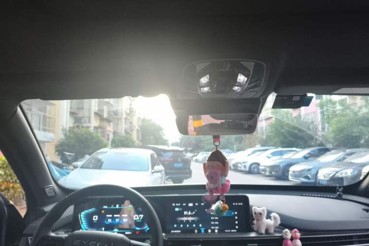 Used EXEED Zhuifeng 2022 Versailles 1.6T DCT "Chasing the Wind" Edition Headliner