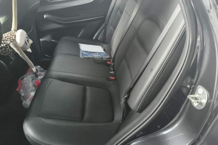 Used EXEED Zhuifeng 2022 Versailles 1.6T DCT "Chasing the Wind" Edition Left Rear Seat