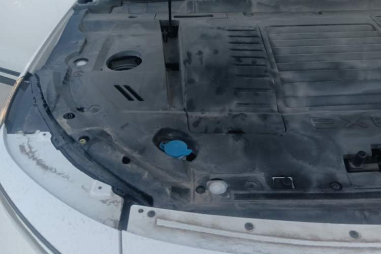 Used EXEED Zhuifeng 2022 Chasing the Waves Edition 1.5T CVT Wind-Chasing Edition Engine Bay Right