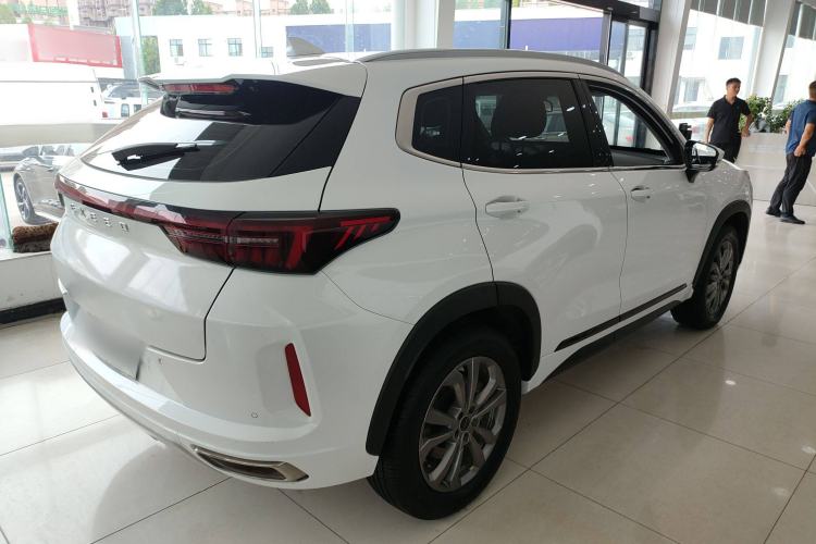 Used EXEED Zhuifeng 2022 Chasing the Waves Edition 1.5T CVT Good Things Peanut Edition Exterior 3