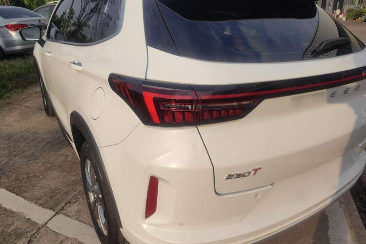 Used EXEED Zhuifeng 2022 Chasing the Waves Edition 1.5T CVT Good Things Peanut Edition Exterior 5