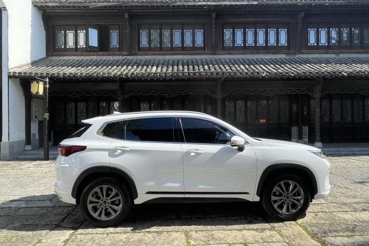 Used EXEED Zhuifeng 2022 Chasing the Waves Edition 1.5T CVT Good Things Peanut Edition Exterior 6