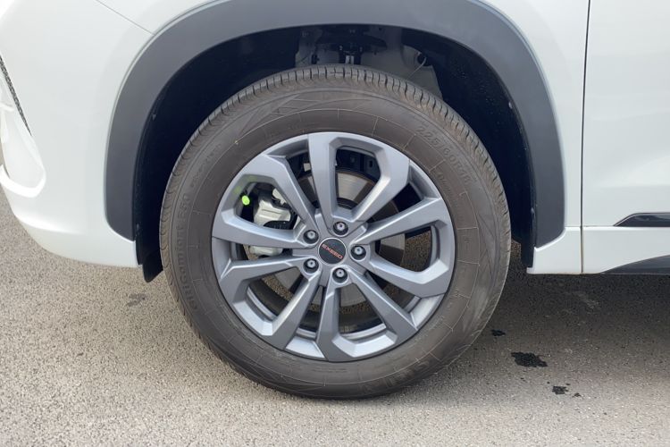 Used EXEED Zhuifeng 2022 Chasing the Waves Edition 1.5T CVT Good Things Peanut Edition Exterior 7