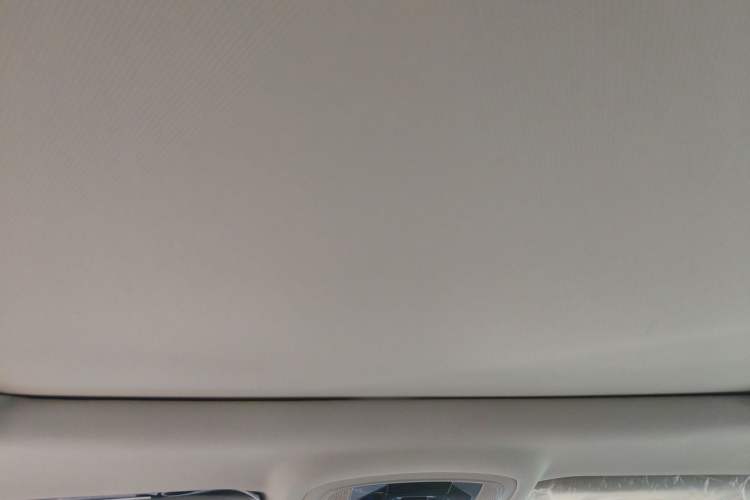 Used EXEED Zhuifeng 2022 Chasing the Waves Edition 1.5T CVT Wind-Chasing Edition Headliner