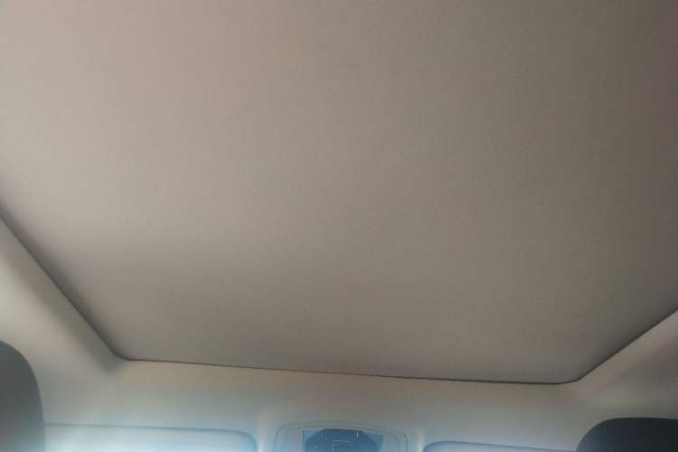 Used EXEED Zhuifeng 2022 Chasing the Waves Edition 1.5T CVT Good Things Peanut Edition Headliner