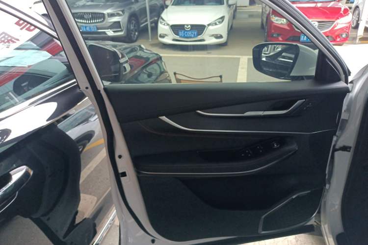 Used EXEED Zhuifeng 2022 Chasing the Waves Edition 1.5T CVT Good Things Peanut Edition Left Front Door Interior