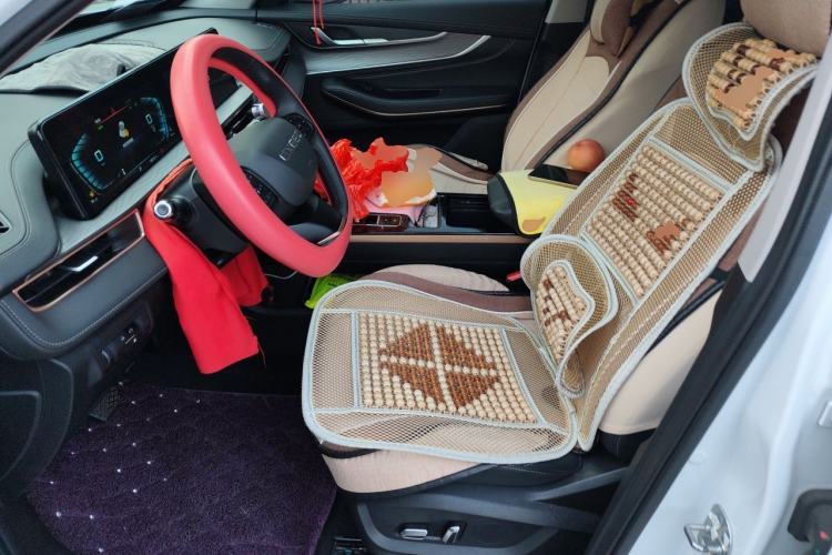 Used EXEED Zhuifeng 2022 Chasing the Waves Edition 1.5T CVT Wind-Chasing Edition Left Front Seat