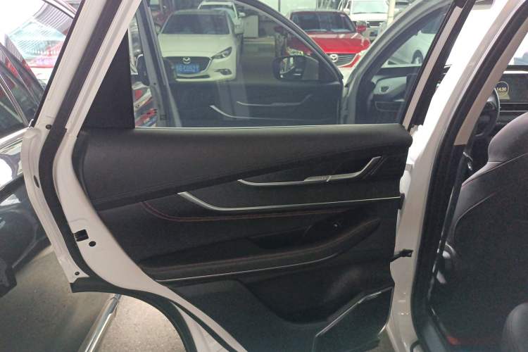 Used EXEED Zhuifeng 2022 Chasing the Waves Edition 1.5T CVT Good Things Peanut Edition Left Rear Door Interior
