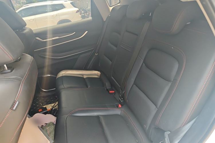 Used EXEED Zhuifeng 2022 Chasing the Waves Edition 1.5T CVT Rising Wind Version Left Rear Seat