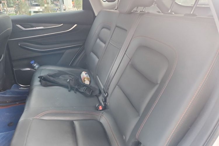 Used EXEED Zhuifeng 2022 Chasing the Waves Edition 1.5T CVT Good Things Peanut Edition Left Rear Seat
