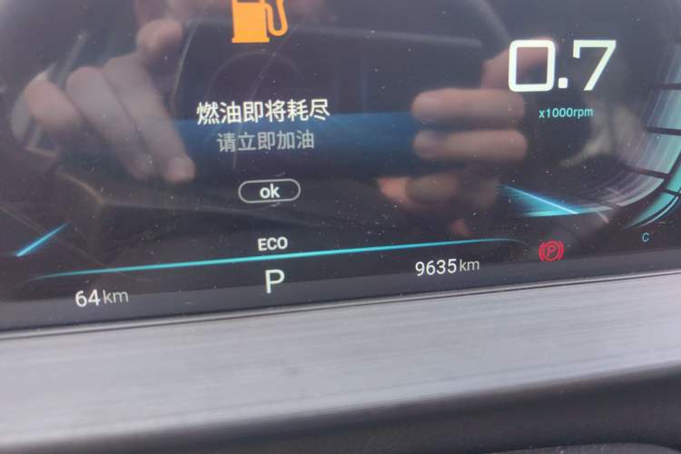 Used EXEED Zhuifeng 2022 Chasing the Waves Edition 1.5T CVT Good Things Peanut Edition Odometer Close Up