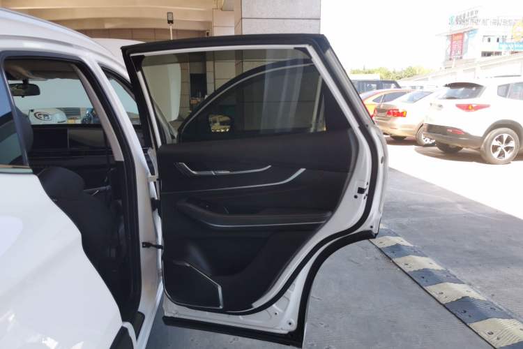 Used EXEED Zhuifeng 2022 Versailles Edition 1.6T DCT Yu Feng Xing Version Right Rear Door Interior