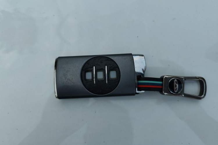 Used EXEED Zhuifeng 2022 Chasing the Waves Edition 1.5T CVT Wind-Chasing Edition Vehicle Key
