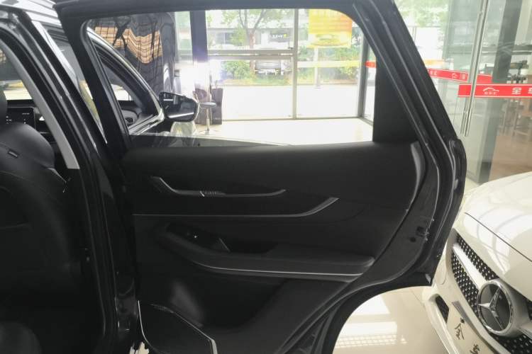 Used EXEED Zhuifeng 2024 1.5T CVT Swift Edition Right Rear Door Interior