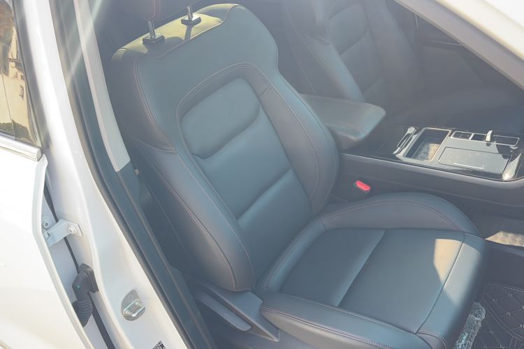 Used EXEED Zhuifeng 2024 1.5T CVT Goodies Peanut Edition Right Front Seat