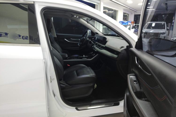 Used EXEED Zhuifeng 2024 1.5T CVT Goodies Peanut Edition Right Front Seat