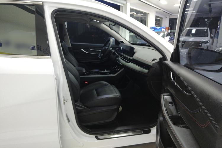 Used EXEED Zhuifeng 2024 1.5T CVT Goodies Peanut Edition Right Front Seat