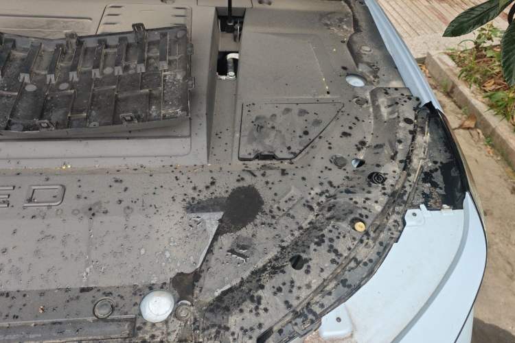 Used EXEED Zhuifeng C-DM 2022 1.5 TCI-DHT 105 km "Chengfeng Qi" Edition Engine Bay Left