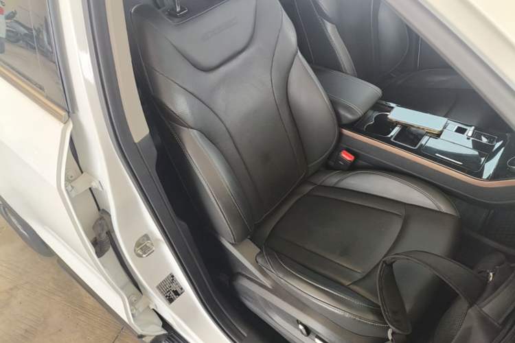 Used EXEED Zhuifeng C-DM 2022 1.5 TCI-DHT 105 km "Chengfeng Qi" Edition Right Front Seat