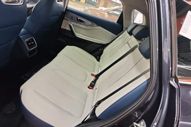 Used EXEED Zhuifeng C-DM 2023 1.5 TCI-DHT 80KM "Chengfengqi" Edition Left Rear Seat
