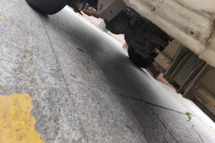 Used Farizon E5 2019 Closed-Body Cargo Van Chassis Rear Right