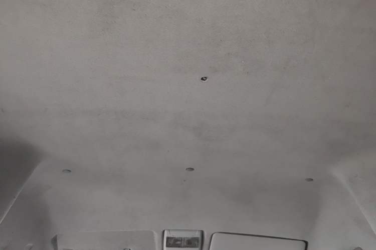 Used Farizon E5 2019 E5L Pure Electric Van with Guoxuan 39.9 kWh Headliner