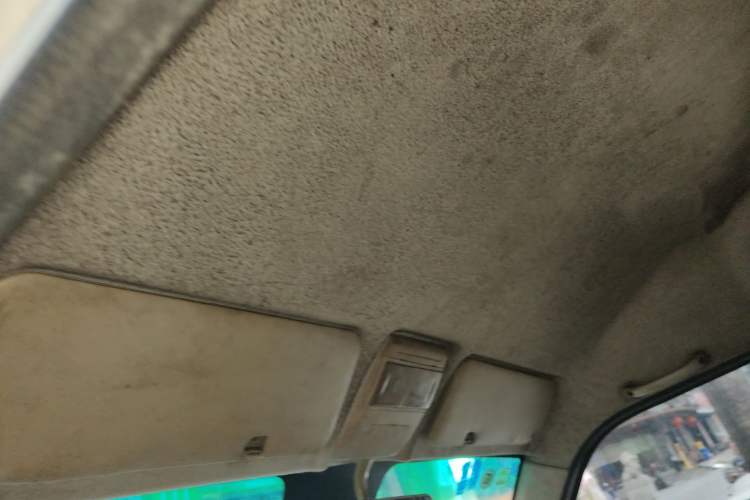 Used Farizon E5 2019 Closed-Body Cargo Van Headliner
