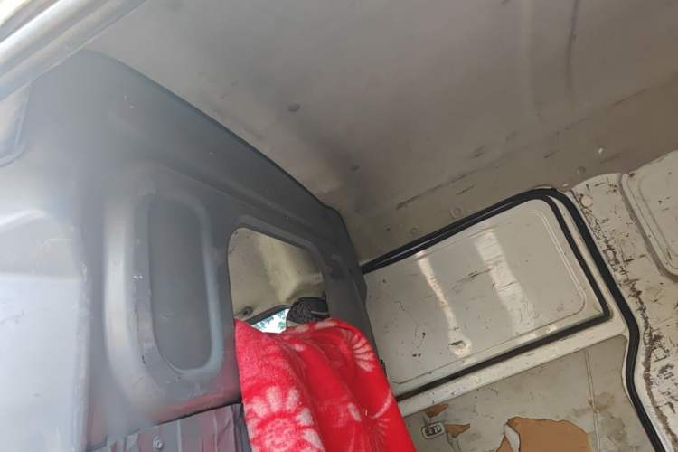 Used Farizon E5 2022 E5L Pure Electric Van with Guoxuan 39.9 kWh Headliner