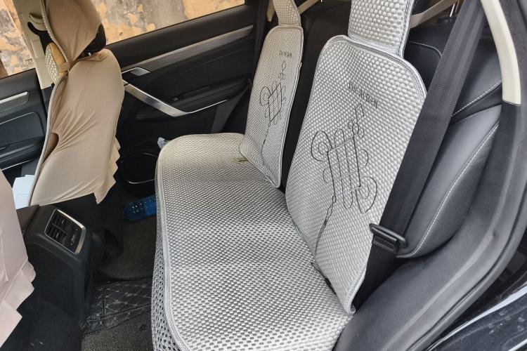 Used Farizon FX 2020 1.8T Smart Connect Edition 4 Seats Left Rear Seat