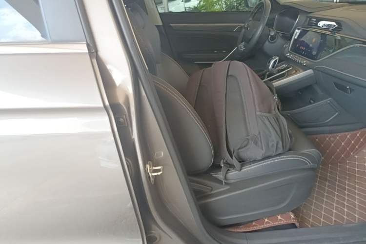 Used Farizon FX 2020 1.8T Smart Connect Edition 4 Seats Right Front Seat