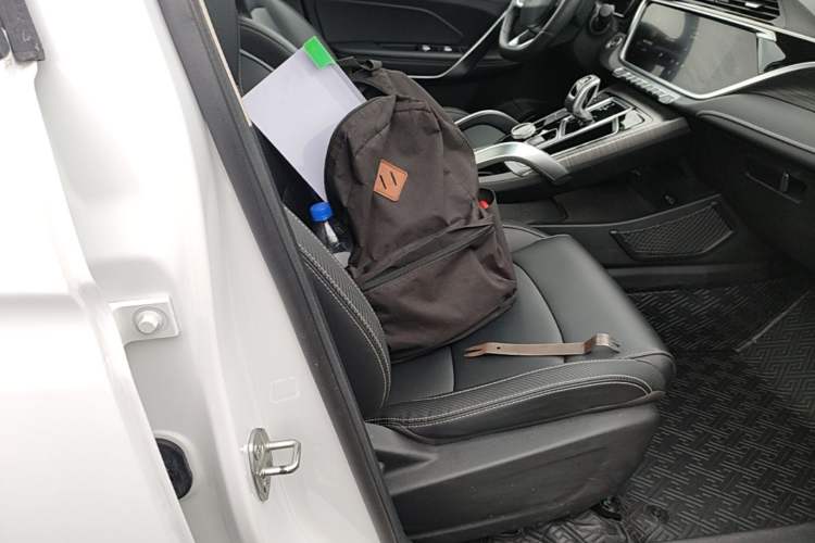 Used Farizon FX 2020 1.8T Smart Connect Edition 4 Seats Right Front Seat