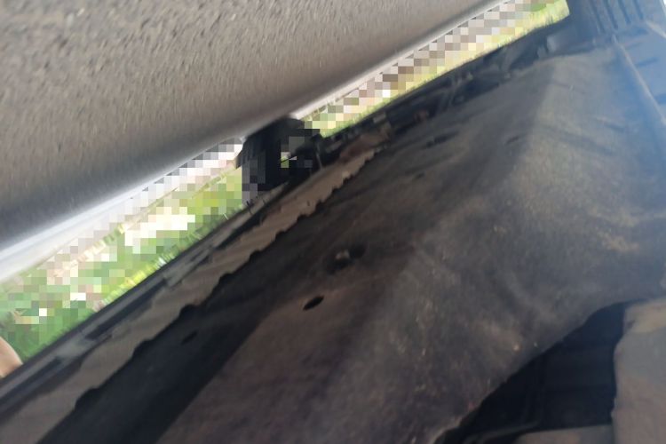 Used Farizon FX 2021 1.8T Smart Connect 5-Seater Chassis Rear Left