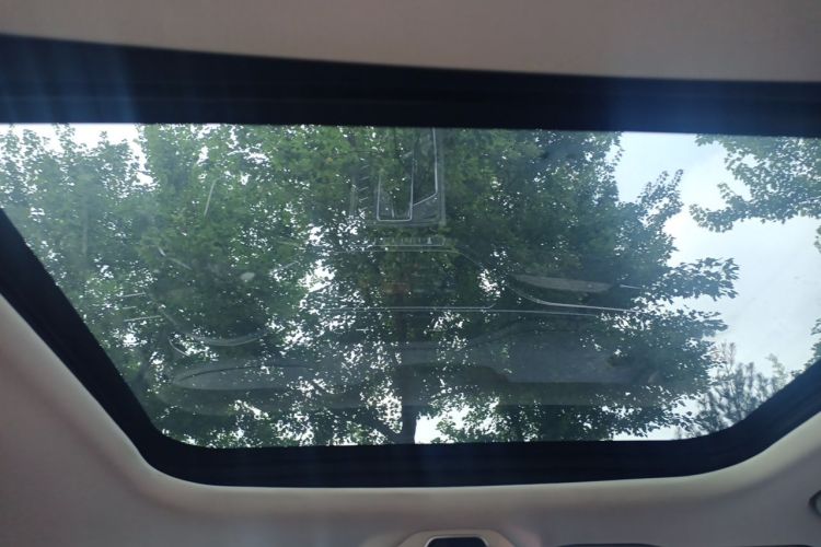 Used Farizon FX 2021 1.8T Smart Connect 5-Seater Headliner