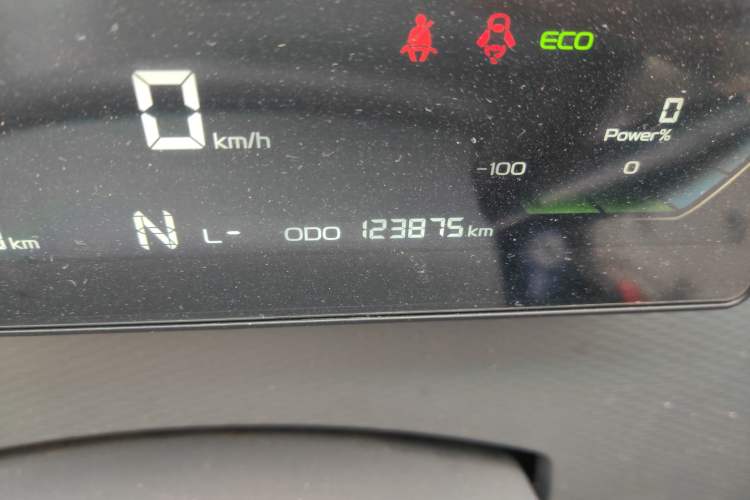 Used Farizon Xingxiang V 2023 V6E Guoxuan Hi-Tech 41.93 kWh Value Edition Odometer Close Up