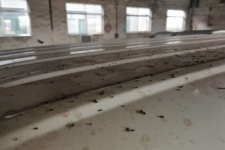 Used Farizon Xingxiang V 2023 V6E Zhonghang Lithium Battery 38.64kWh Value Edition Roof